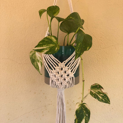 Macramé vase/plant holder