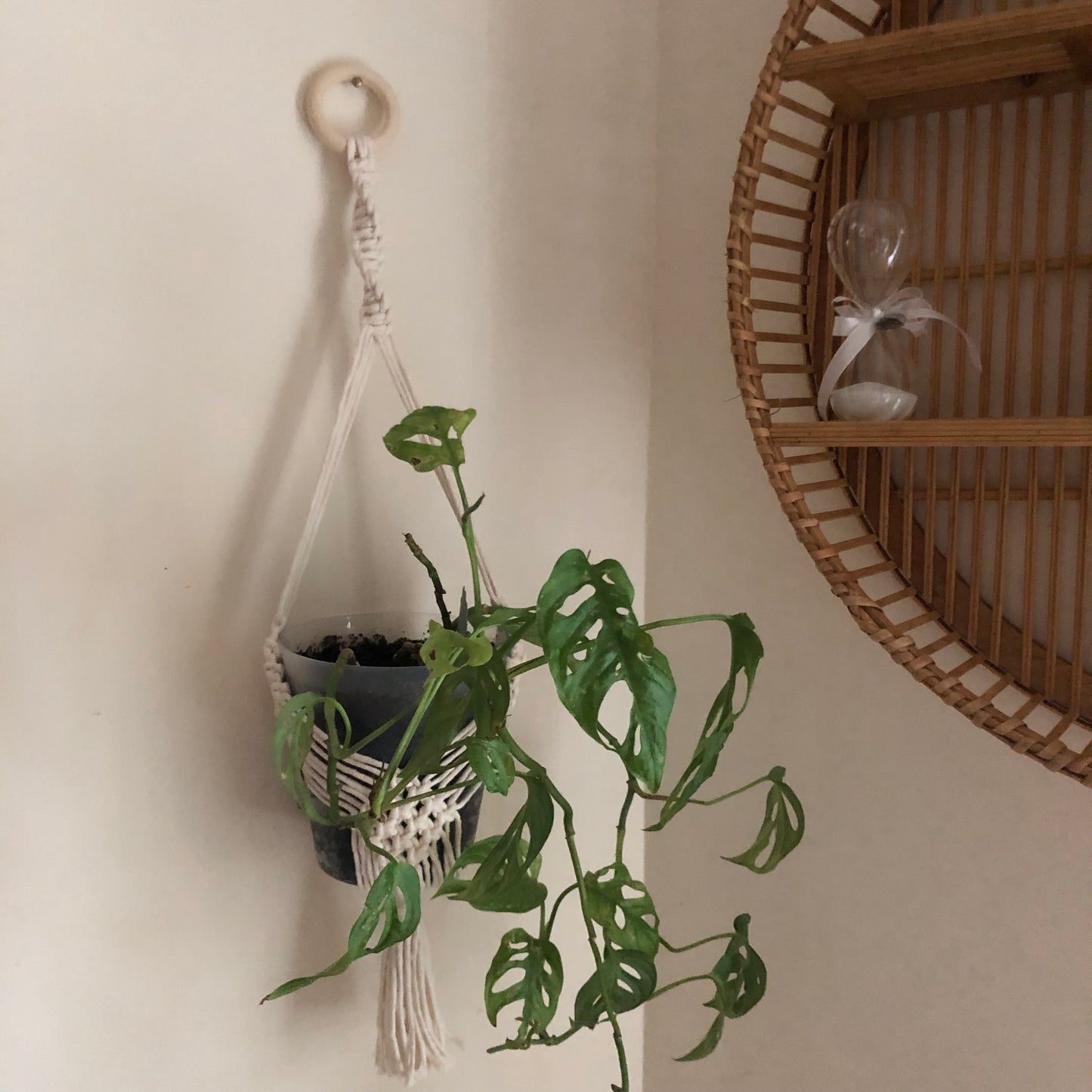 Macramé vase/plant holder